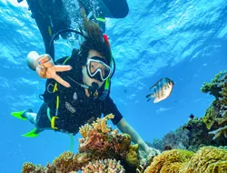 Outer Great Barrier Reef Cruise with Buffet Lunch, Snorkeling & Glass Boat Tours